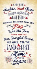 Star Spangled Fabric Patriotic Cotton Timeless Treasures CD2220 24″X 44″ Panel