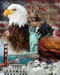 Quilts of Valor Patriotic 45″ Wide Panel Fabric