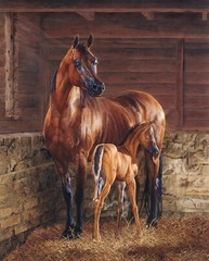 And God Made a Horse ~ David Textiles Fabric Panel ~ Horse and Foal Quilt Panel