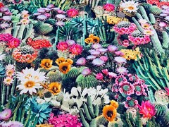 Fabric Cactus Flowers All Over on TIMELESS TREASURES Cotton 1/4 Yd WEST-CD-1786