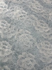 Light Baby Blue Foral Lace Scallop Polyester Fabric 6.5 Yards 58″ Wide Unbranded