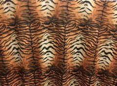 SAFARI – TIGER, LA ZOO SHORT PILE VELVET DRAPERY AND UPHOLSTERY FABRIC BY THE
