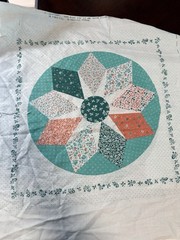 Vintage Sewing Panel Dresden Star Cheater Quilt Pillow 14”