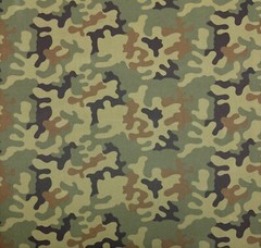 POLISH PANTERA WOODLAND NY/CO TWILL CAMO APPAREL MILITARY SPEC FR FABRIC 60″W