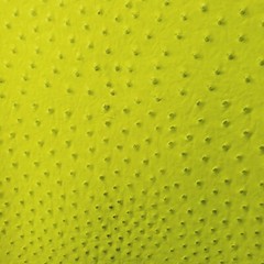 NEON YELLOW OSTRICH VINYL GOOSEBUMP LIME MONSTER SKIN FABRIC 54″ BY THE YARD