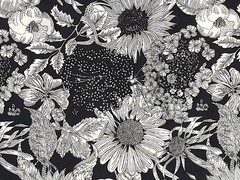 Liberty Tana Lawn Fabric Swim Dunclare Floral Lightweight W108cm Made in Japan