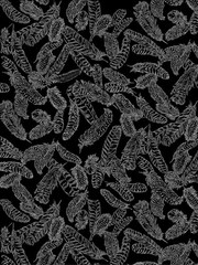 Basics Fabric | Gilded Feathers Toss Silver Black | Kanvas Studio YARD