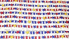 Trena’s America General Fabrics Stars Firecrackers July 4th Cotton Fabric 1 Yd