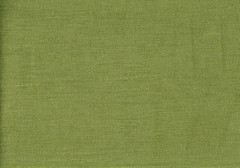 Sunbrella Fabric Palio Kiwi Solution Dyed Acrylic Drapery Upholstery