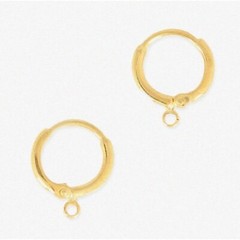 GoldieGuard Hypoallergenic Dangle Earring Hooks, 20 Pieces