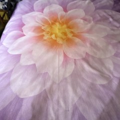 Hoffman Spectrum Print Purple/ Yellow Floral Cotton 44”x44” Panel