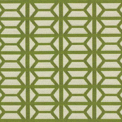 Acrylic Fabric Upholstery By-The-Yard Sunbrella®️ “Icon 494-74 Palm” 09209737