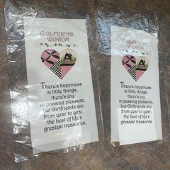 Lot of 2 – Jody Houghton Designs – Girlfriend Wisdom Art Panel – 6″x12″