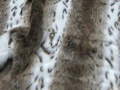 Super Luxury Faux Fur Fabric Material – BEIGE LYNX