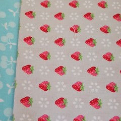 Lakehouse Dry Goods 10 piece Fat Quarter Bundle Holly Holderman Vintage Style