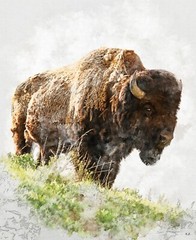 Natures Window Bison Panel 36 x 43 cotton Riley Blake