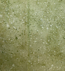 1 1/3 yard piece of light green Complements Blender by South Seas Imports