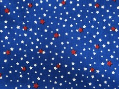 VTG Red, White and Blue Stars Quilting Fabric – BTQY: 9” x 44”