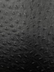black ostrich faux vinyl Marine grade UV resistance waterproof Fabric