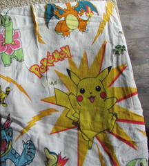 anime pokemon charizard twin bed sheet fun fabric flannel flat gently used
