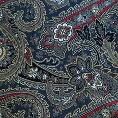 Roue Indienne Navy Blue Red Tan Floral Paisley French General BTY