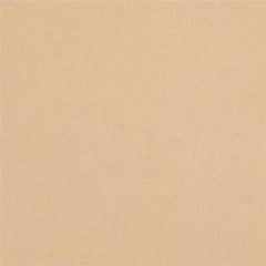 Dolskin Knit Flesh Tone Fabric 100% Polyester (BTY) 1 Yd