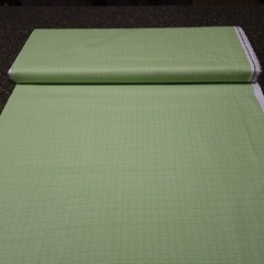 Ambrosia BTY Natalie Miles P&B Textiles Tiny Tonal Green Check Plaid