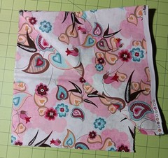Blush by Basic Grey for Moda Fabric. 2 yards/2 prints #30201 & 30204 Cotton. OOP