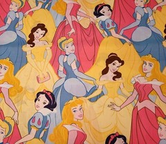 Disney Princess BTY Springs Industries Snow White Cinderella Packed