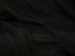 Fabric Light Weight Polyester Spandex 4 way Stretch Solid Black LY400