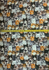 Cat Cats Kitten Kittens Packed 8417 Timeless Durable Cotton Fabric