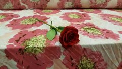 100% Rayon Challis Big Pink Blush Flowers Floral Soft Light Weight Dress By Yard