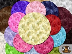 Minky Rosebud Fabrics / 58″ Wide / Sold by the Yard