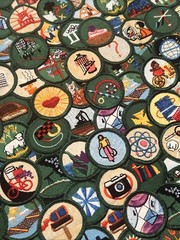 Girl Scouts of America Fabric Brownie Badges Patches 35” X 43” Robert Kaufman