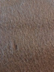 WOOL/MOHAIR BLEND Fabric/Textiles Brown/Sewing/Craft/Home Dec/Felting 1yd/58″