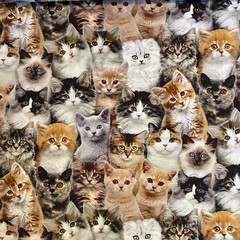 Cats Adorable Pets Cotton Fabric BTY Elizabeth’s Studio Kittens Kitty Felines