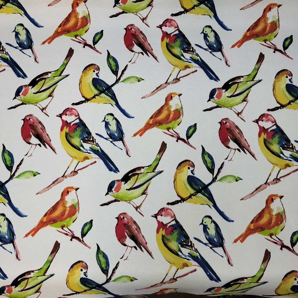 Bluebird in Fiesta Berkshire Home BTY 54″ Wide 100% Polyester Outdoor Multi Ecru