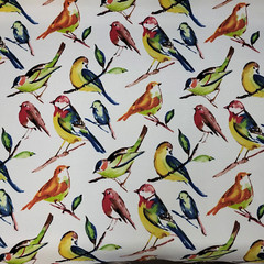Bluebird in Fiesta Berkshire Home BTY 54″ Wide 100% Polyester Outdoor Multi Ecru