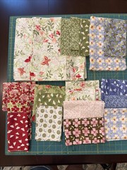 6 yards Fabric Cotton Quilting Sweet Caroline Skipping Stones Studio Clothworks
