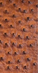 Chestnut ostrich faux vinyl Marine grade UV resistance waterproof Fabric