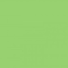 Warm And Fuzzy Flannel Solids Too! By Maywood Studio – Apple Green #100-G2