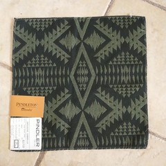 Pindler Pendleton Sunbrella Fabric Sample Square Black Green Geometric 13×13″