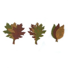 18 Assorted Tattered Fall Leaf Wool Blend Felt Die Cuts