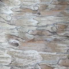 Robert Kaufman The Last Frontier II Tree Fabric #8867 Japan 1 Yard Cotton Quilt