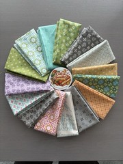 Riley Blake Fabric 15 piece Fat Quarters Bundle 18×22″ Piece & Plenty Lori Holt