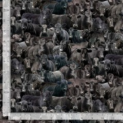 Cow Cows Packed Angus 3867 Black Timeless Durable Cotton Fabric BTY