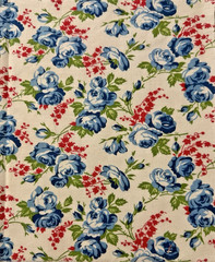 Vintage 1920-40s feedsack fabric piece 9×10 floral pattern blue red green
