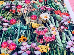 Fabric Cactus Flowers All Over on TIMELESS TREASURES Cotton 1/4 Yd WEST-CD-1786