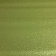 Maharam Lariat Cucumber Green Upholstery Vinyl