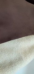 New Dark Brown Faux Suede Sherpa Lined Fabric/One Yard Available/62″ Width